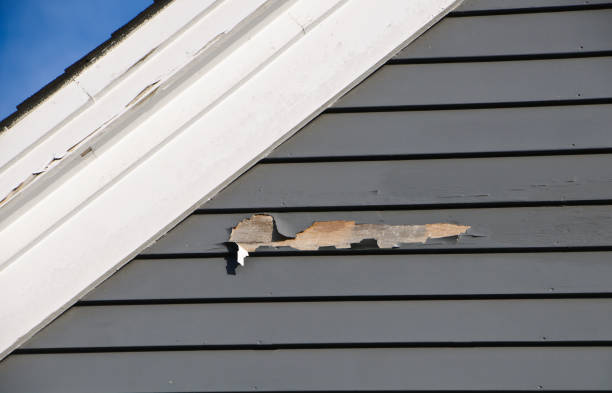 Best Foreclosure Cleanout  in Beaverton, MI